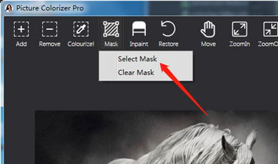 select Mask tool and paint